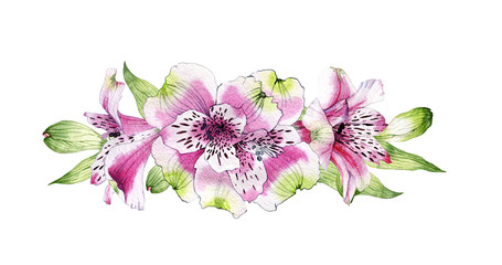 hand drawn watercolor bouquet of flowers of Alstroemeria