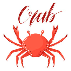 Vector illustration of a crab isolated on white background with inscription. Red clam clipart. Realistic shellfish
