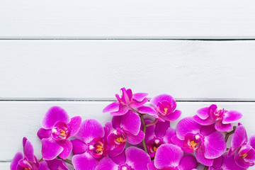 Beauty orchid on a gray background. Spa scene.