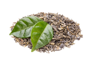 Fototapeta na wymiar Green tea leaf isolated on white background.