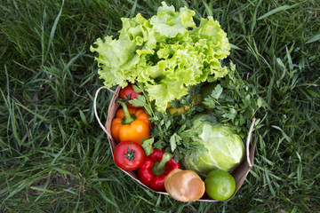 A full paper bag of healthy products stands on the grass. Top view. From above.