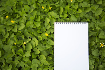 The notebook lies in the greenery. Closeup. Top view.