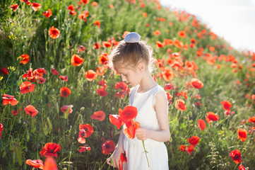 pretty little girl in white dress collects orange poppies on blossom hill in summer