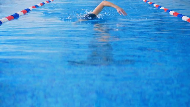 Female swimmer participate in a swimming competition in a pool. 4K.