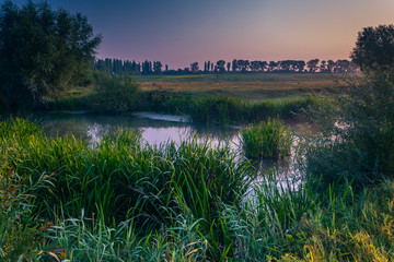Faded nature in late summer and autumn