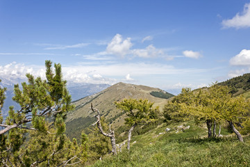 Una veduta dalle cime del Monte Bondone, Trentino, Italia 

