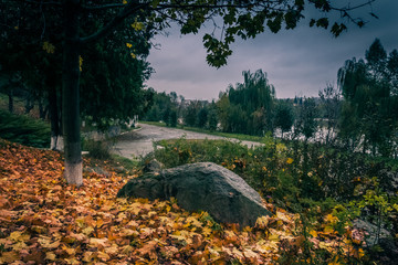 Faded nature in late summer and autumn