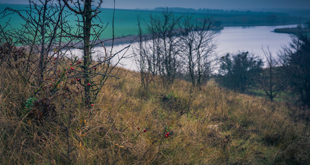 Faded nature in late summer and autumn