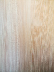 wood grungy background with space for your design