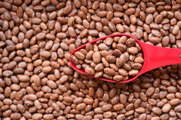 close up of pinto bean for background 