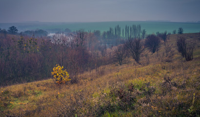 Faded nature in late summer and autumn