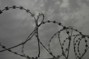 Razor wire fence contrasted with cloudy gray sky