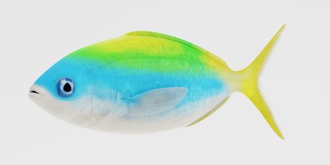 Realistic 3D Render of Yellowback Fusilier