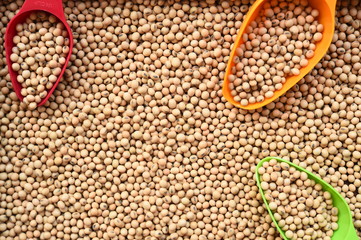 close up of soy bean for background