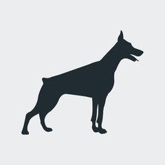 Icono plano silueta perro Doberman en fondo gris