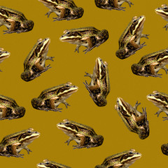 Seamless pattern. A green frog on a marsh background.