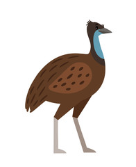 Emu cartoon bird icon