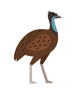 Emu Cartoon Bird Icon