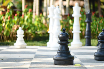 Pawn of a Giant Chess Board