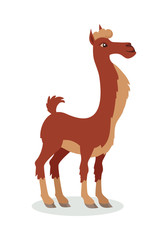 Llama Cartoon Icon in Flat Design