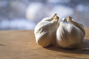Several garlic bulbs on wooden table with blurred background. Closeup photo