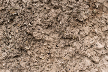 Obraz premium Grey Concrete Texture