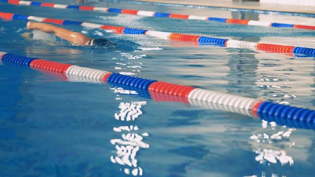 A female swimmer trains in a pool.