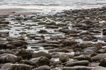 Rocky and sandy beach in Devon, England