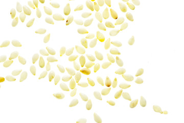 Sesame seeds isolated on white background