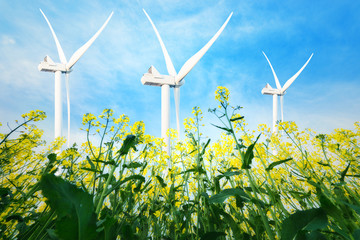 Wind power plant - eco energy