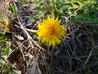 wiosna przemijanie © Piotr