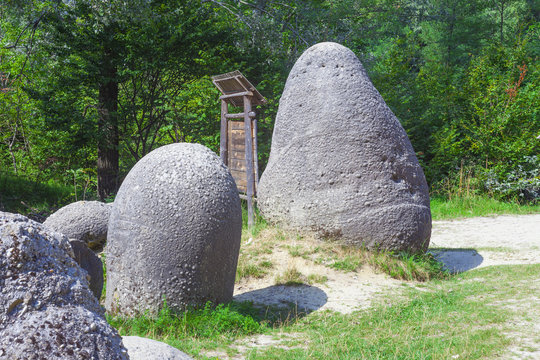 Concretions growing up, old trovant natural formed, cement sand, Romania Europe