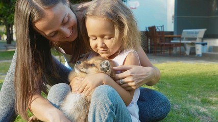 Mother and child playing with puppy on a warm summer day outdoor