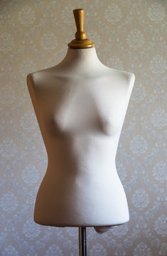 Mannequin Dress Form Vintage  Background