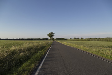 Empty rural road on a summer evening
