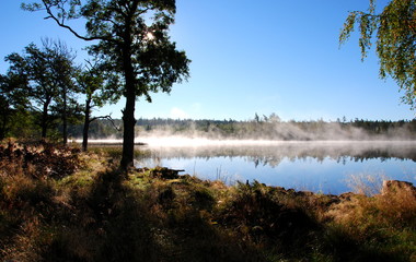 Idyllic view of morning fog on a lake in Smaland, Sweden, against a clear blue sky with a woodland shore in front and in the background, that is reflected in the water