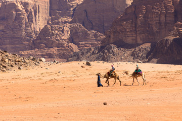 Camels at Wadi Rum desert landscape,Jordan