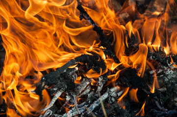 Campfire flame and smoke. Burning brushwood and dry grass. Close up shot