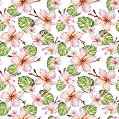 Exotic plumeria flowers and green monstera leaves in seamless tropical pattern. White background. Watercolor painting. Hand painted floral illustration.