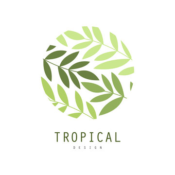 Tropical logo design, round badge with palm leaves vector Illustration on a white background