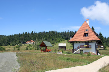 Fototapeta na wymiar little house on Tara mountain Serbia