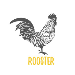 Rooster. Vector element for design, logotype and illustrations.