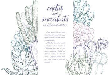 Sketch linear cactus ans succulents