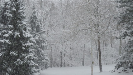 Winterlandschaft 1
