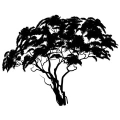 African tree silhouette. Vector illustration