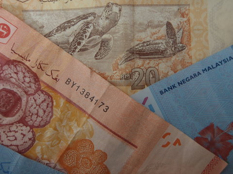 Some Malaysian bank notes