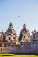 Obraz premium bird flying near Santa Maria di Loreto (St Maria of Loreto) church in Rome, Italy