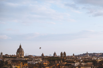 Fototapeta na wymiar bird flying above of St Peters Basilica in Rome, Italy