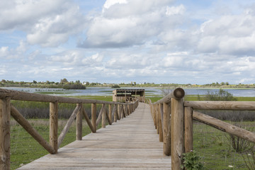 Obraz premium Camino de madera que se dirige hacia el observatorio de aves en la laguna