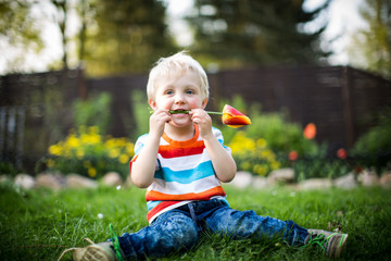 Fototapeta na wymiar kleiner Junge spielt mit Blumen